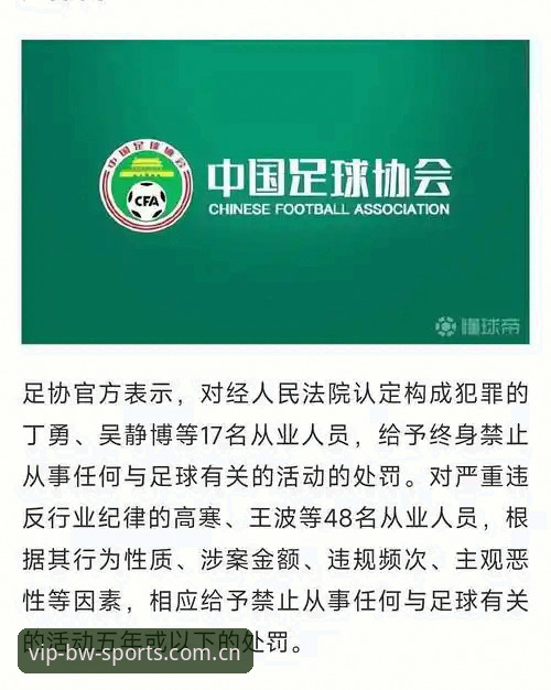 中国足协第三批禁足名单深度解析：足球反腐背后的技术视角与平台观察