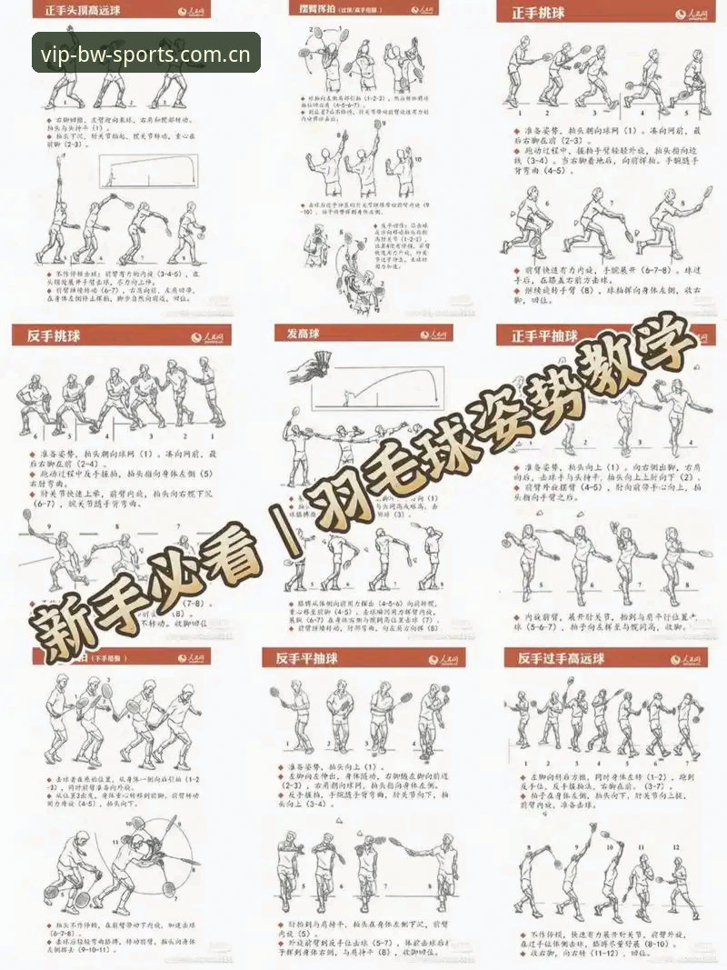 资深用户亲测：宝威体育使用教程全解析，从入门到精通的关键技巧