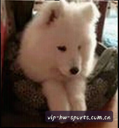 李娜